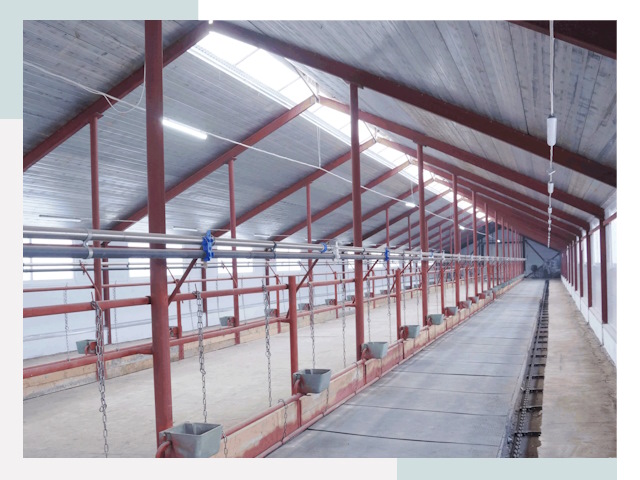 Строительство коровников в Бирске от 624 руб.