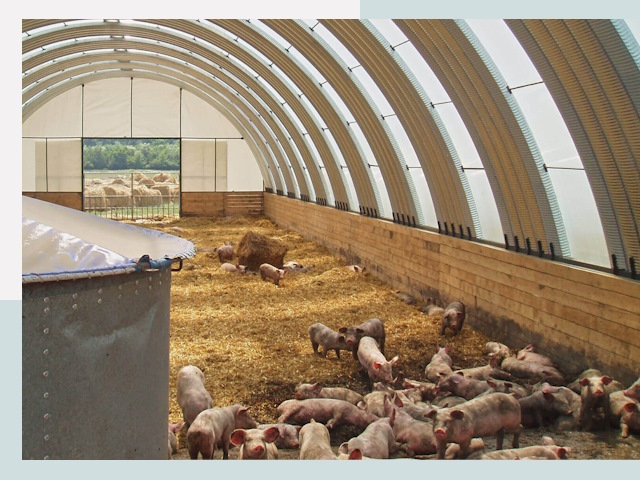 Строительство свинарников в Бирске