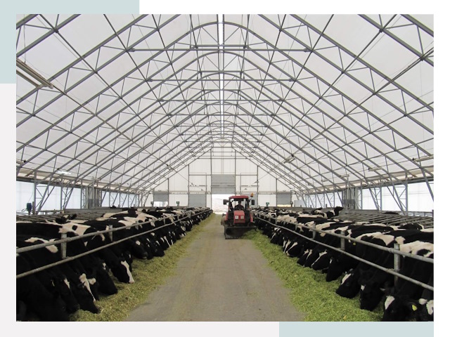 Тентовые коровники в Бирске от 624 руб. - Надежно и доступно