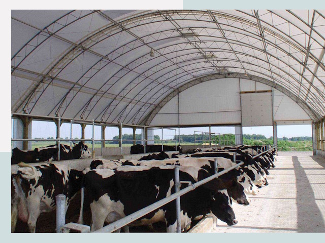 Тентовые коровники в Бирске